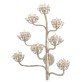 JT212 AGAVE 